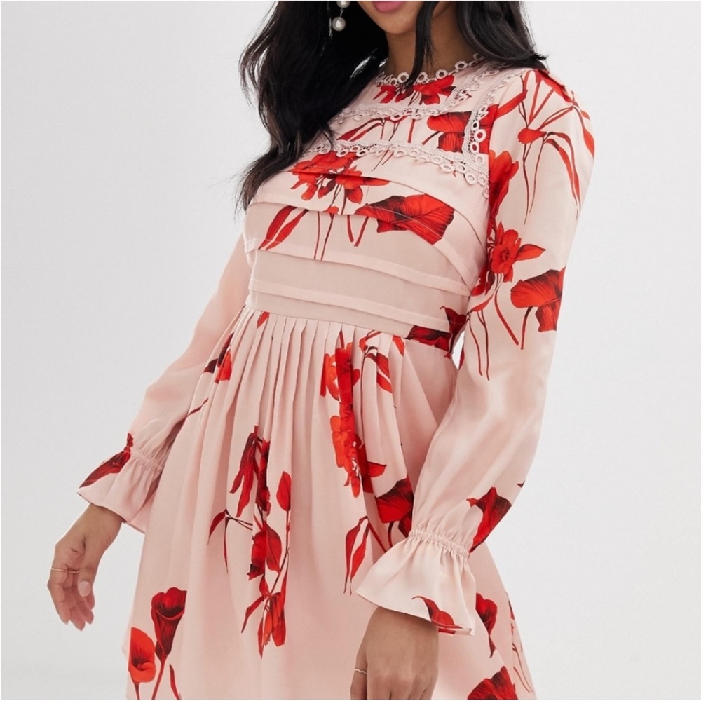 NWT Ted Baker Malaani Fantasia dress, US 6 (baker size 2)